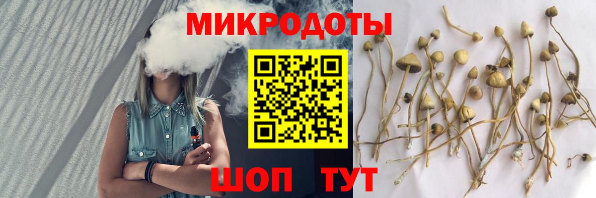 Галлюциногенные грибы мицелий Михайловск